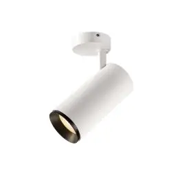 Ambachtelijk SLV NUMINOS® SPOT DALI L, Indoor led plafondopbouwlamp wit/zwart 3000 K 24
