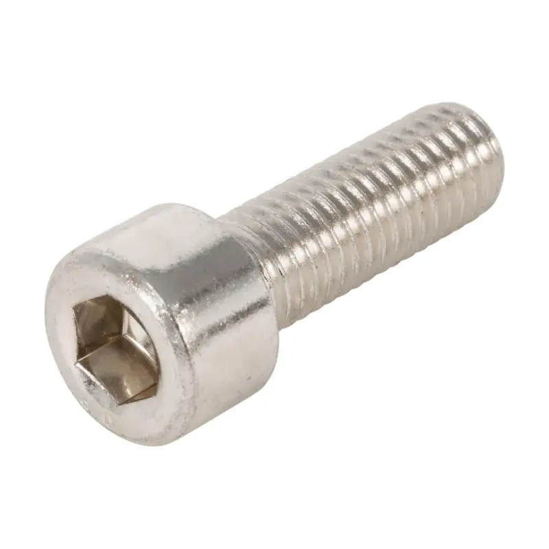 Binnenzeskantbout M10 x 40mm - RVS - A2 - DIN 912 (100 stuks) In De Mode