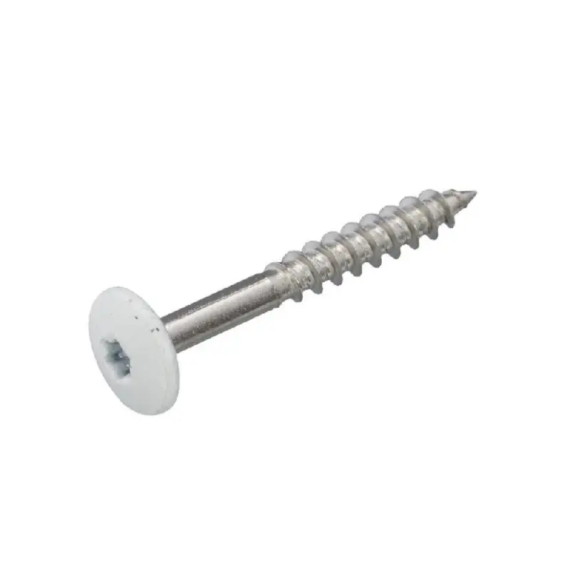 Gecertificeerd 4.8 X 25 GEVELSCHROEF RVSA2 TX-20 WIT RAL9010