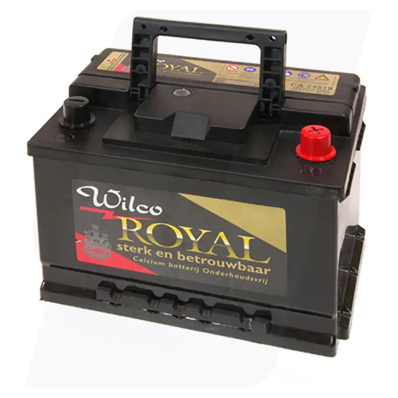 Accu ca 555.59 Topkwaliteit